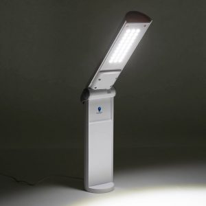 Daylight Twist Portable LED Lamp